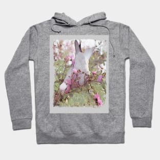 Galah, Australia. Hoodie